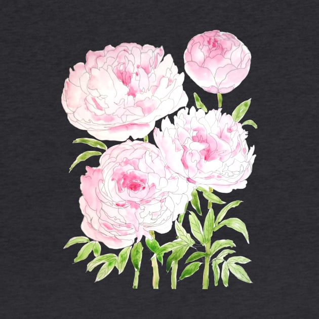 pink peony flowers  watercolor and ink by colorandcolor